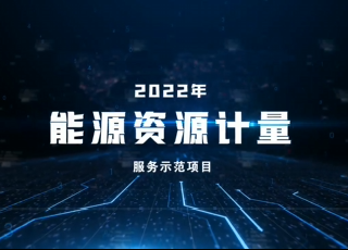 2022年度能源资源计量服务示范项目